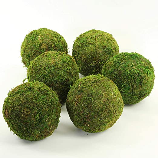 4" Moss Ball